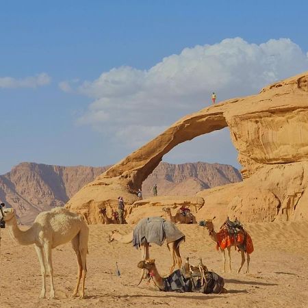 Wadi Rum Desert Camp 外观 照片