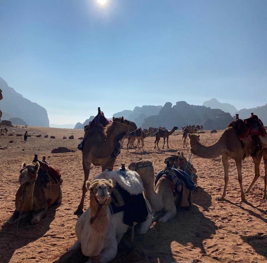 Wadi Rum Desert Camp 外观 照片