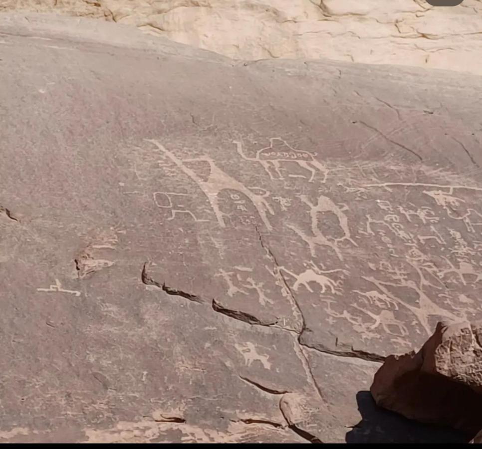 Wadi Rum Desert Camp 外观 照片
